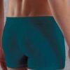 Doreanse Big Logo Mens Boxer Brief Underwear 1777 Emerald back