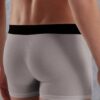 Doreanse Big Logo Mens Boxer Brief Underwear 1777 Grey back