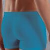 Doreanse Big Logo Mens Boxer Brief Underwear 1777 Turquoise back