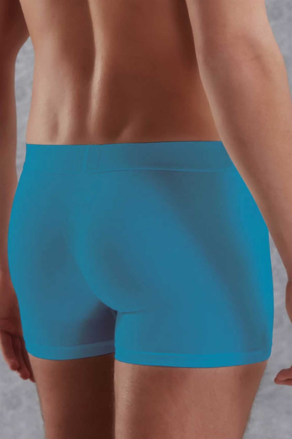 Doreanse Big Logo Mens Boxer Brief Underwear 1777 Turquoise back