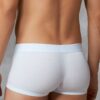 Doreanse Low Rise Modal Mens Mini Boxer Brief Underwear 1760 White back