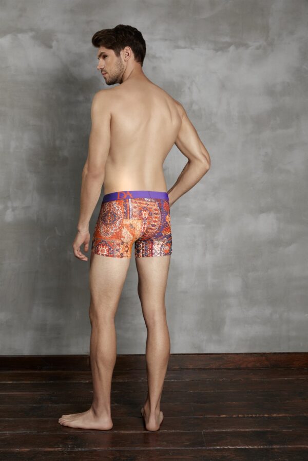 Doreanse Luxurious Boxer Brief Underwear 1824 Rug Patternd back