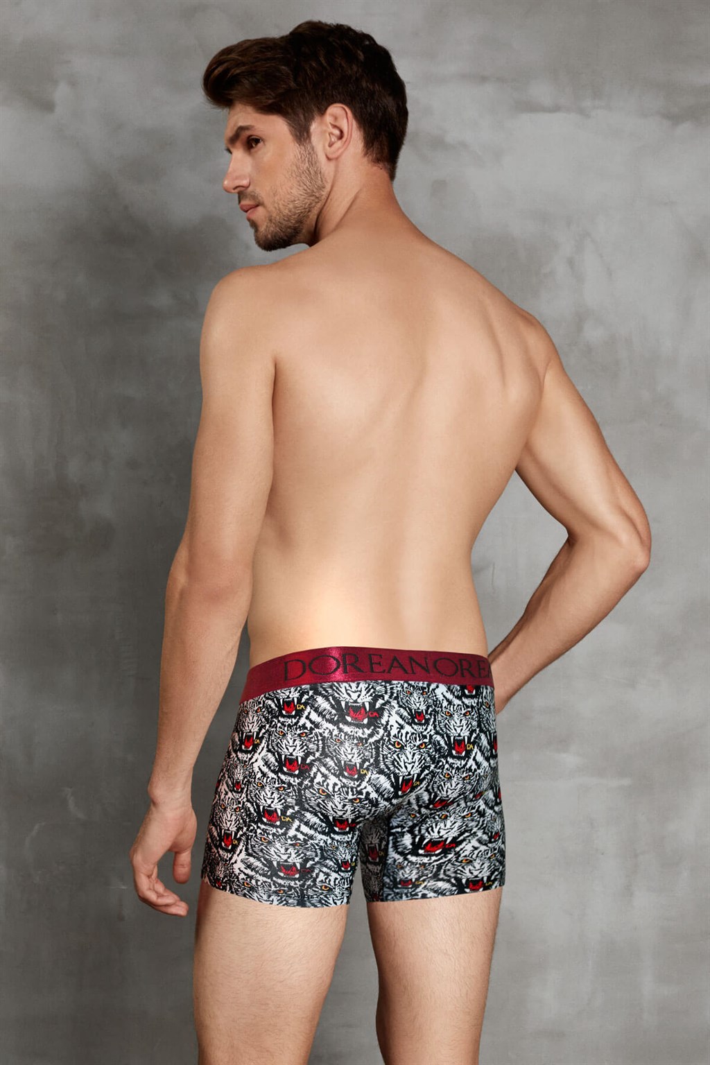 Doreanse Mens Boxer Brief Underwear 1812 Wild Tiger Pattern back