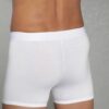 Doreanse Solid Mens Boxer Brief Underwear 1755 white back