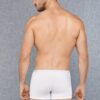 Doreanse Mens Cotton Thin Fabric regular Leg Boxer 1717 White 2