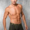 doreanse mens modal line detailed regular leg classic boxer 1766 khaki 1