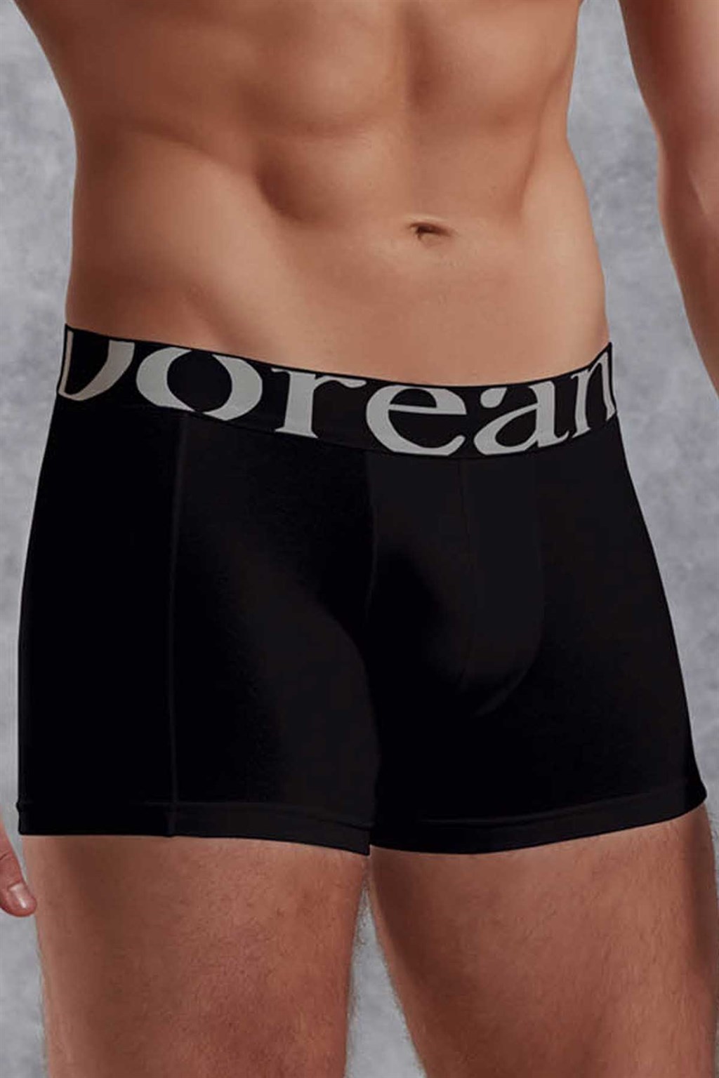 doreanse mens modal plus size regular leg classic casual boxer 1777p black 1