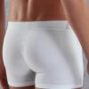 doreanse mens modal plus size regular leg classic casual boxer 1777p white