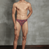 Doreanse 1007 Cotton Shahmeran Patterned Mens Brief