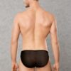Doreanse 1321 Sheer Bikini Underwear black back