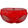 Doreanse 1321 Sheer Bikini Underwear red