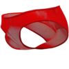 Doreanse 1321 Sheer Bikini Underwear red side