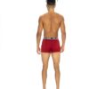 U.S. Polo Assn. 80533 3 Pack Cotton Lycra Mens Boxer Set Burgundy Black Anthracite burgundy back