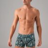 doreanse erkek boxer 1724 e4a68