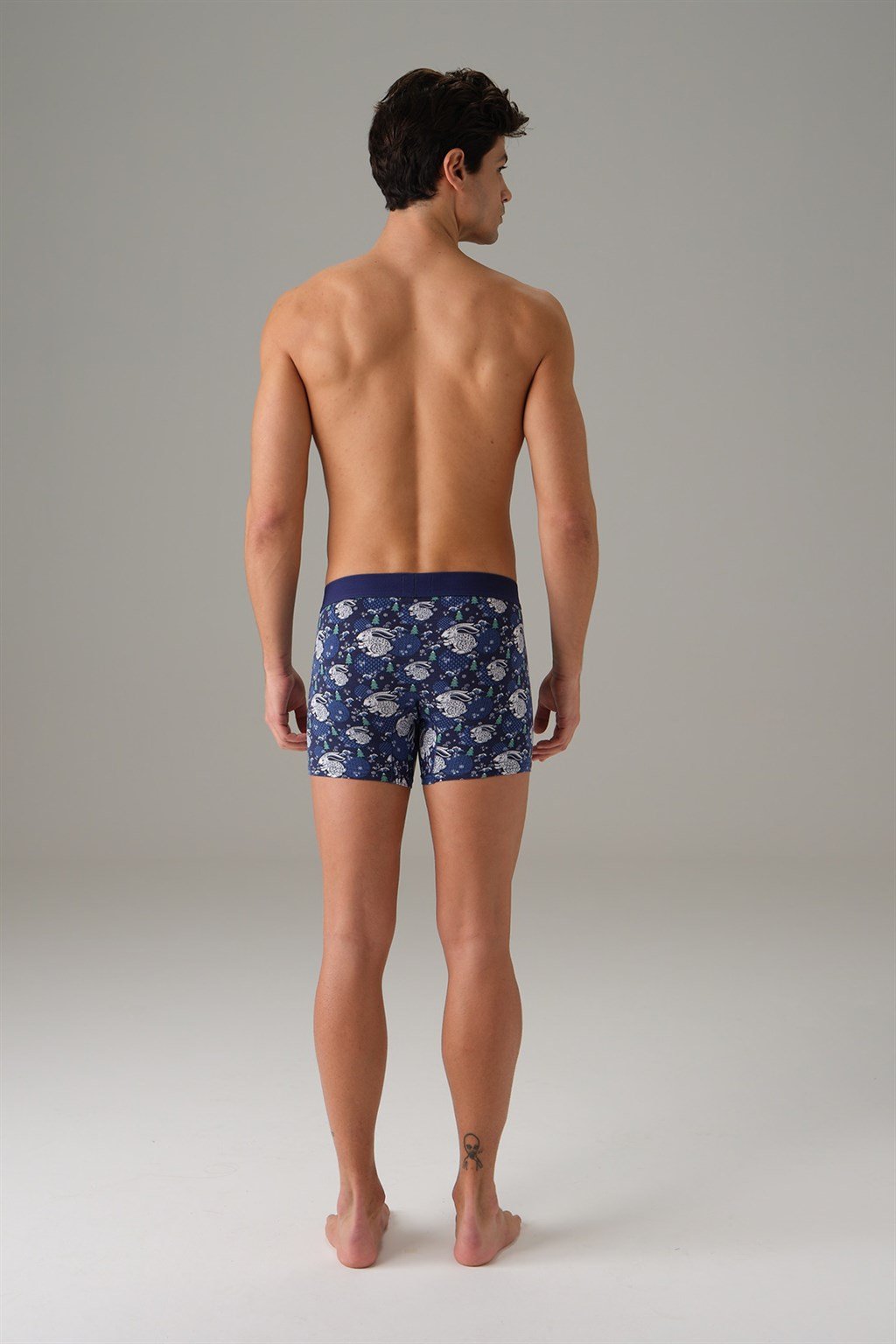 doreanse erkek mavi yilbasi tema tavsa a abef