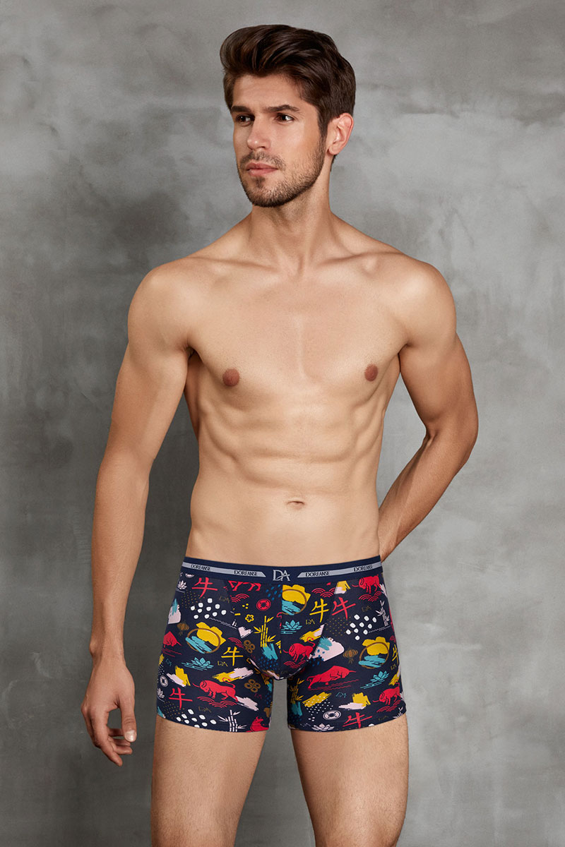 Doreanse Memox Year Of Ox Men's Boxer Brief Underwear 1849