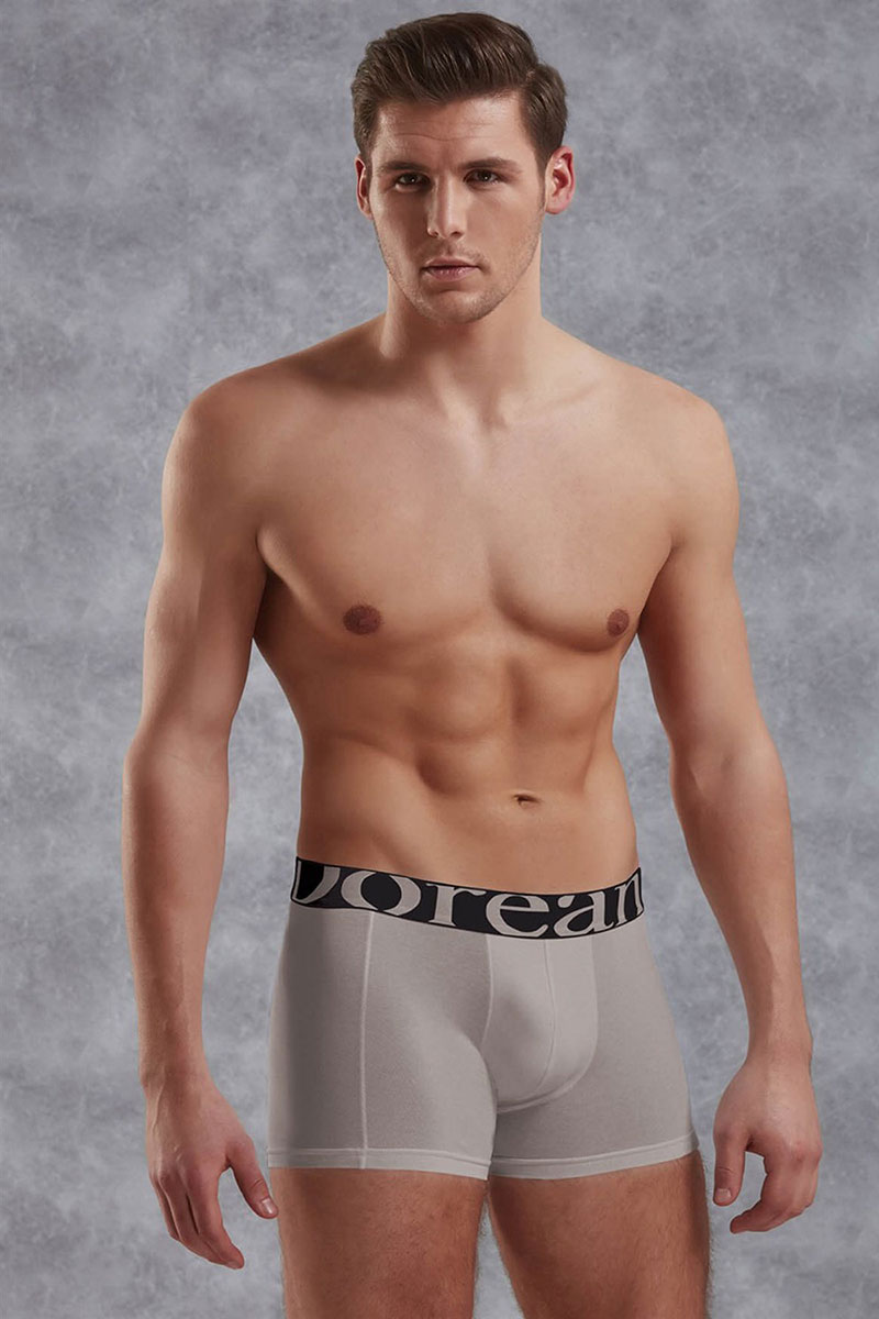 Doreanse Plus Size Big Logo Men's Boxer Brief Underwear 1777P Grey